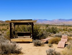 Pet Friendly Cabins in Joshua Tree