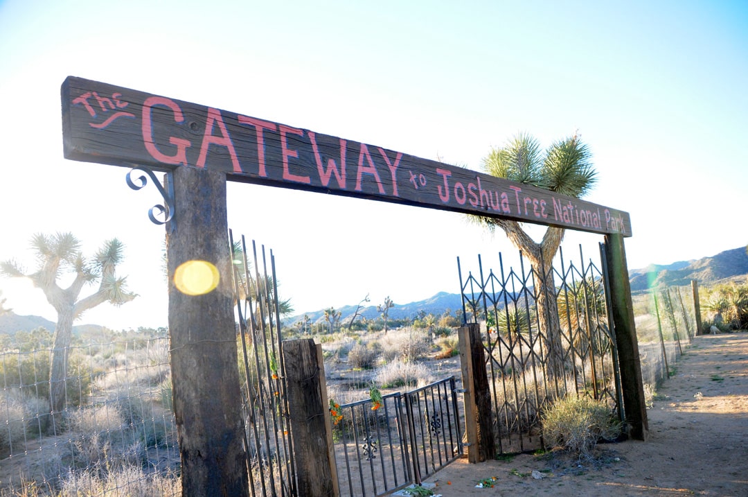 Welcome to our Joshua Tree Cabins